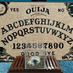 Taxidermy Bee “Sleeping Bee”